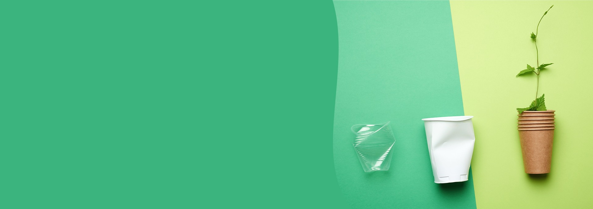 Eco-Friendly Packaging