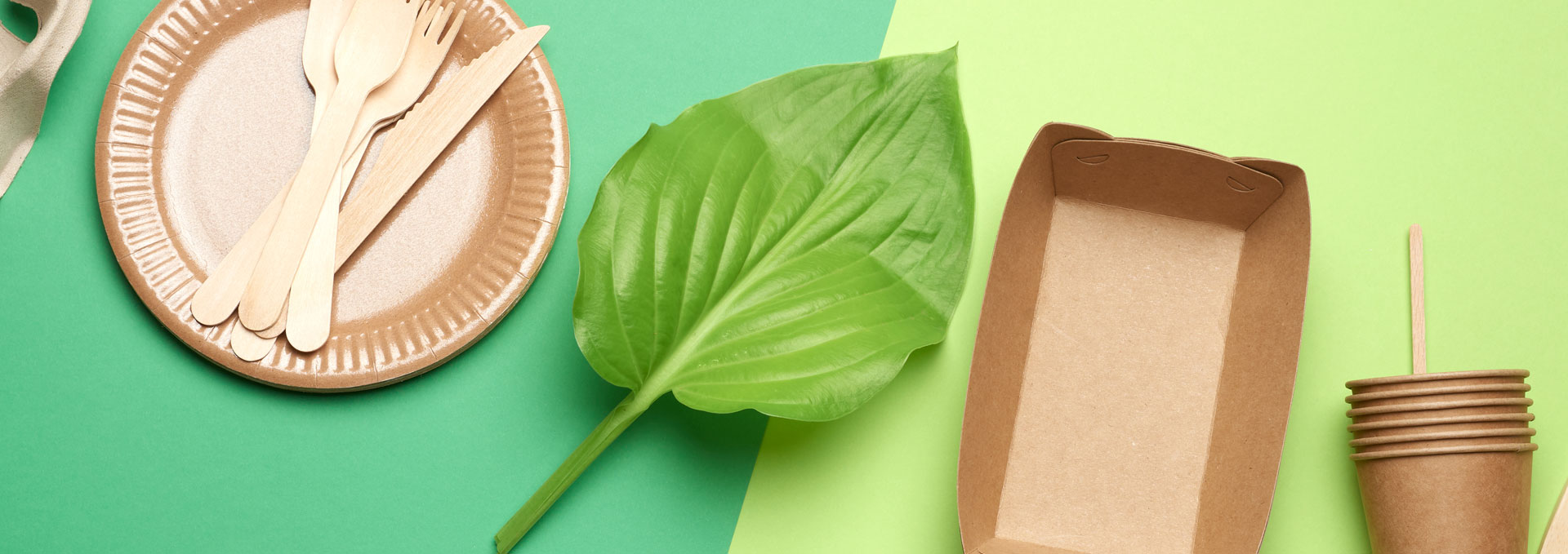 Eco-Friendly Food Packaging